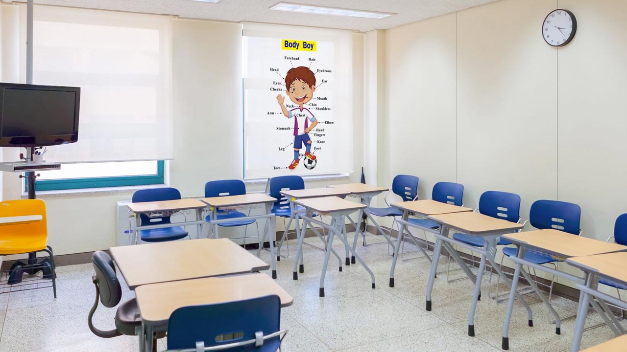 Printed-Roller-Blinds