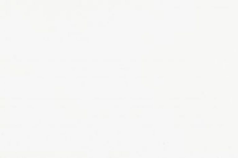 Extra White Plantation shutters