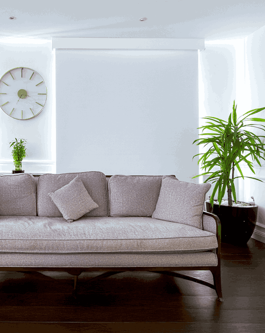 roller-blinds